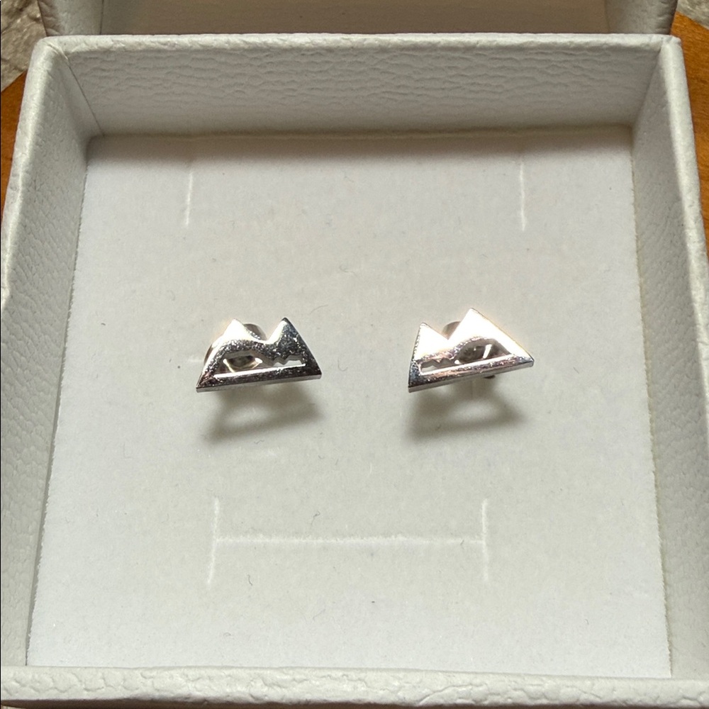 Silver Mountain Earrings